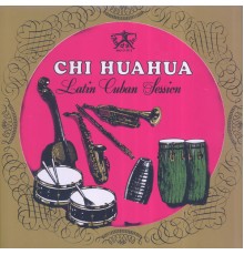 Chihuahua - Latin Cuban Session