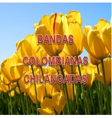 Chilangadas - Bandas Colombianas