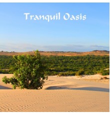 Chill-life-fun - Tranquil Oasis