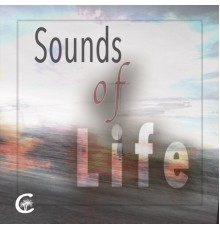 Chillimi - Sounds of Life