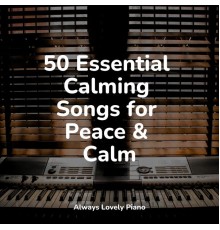 Chillout Lounge Piano, Relaxing Piano Jazz Music Ensemble, Soothing Piano Collective - 50 Essential Calming Songs for Peace & Calm