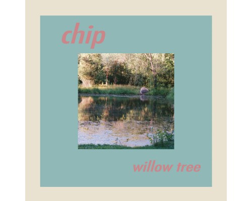 Chip - Willow Tree