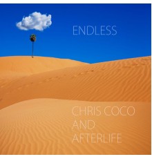 Chris Coco & Afterlife - Endless