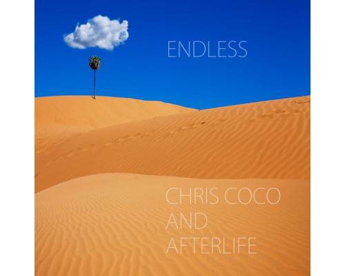 Chris Coco & Afterlife - Endless