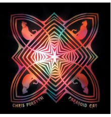 Chris Forsyth - Paranoid Cat