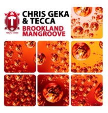 Chris Geka, Tecca - Brookland / Mangroove