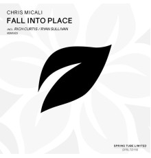 Chris Micali - Fall into Place