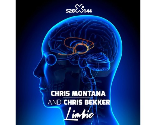 Chris Montana, Chris Bekker - Limbic