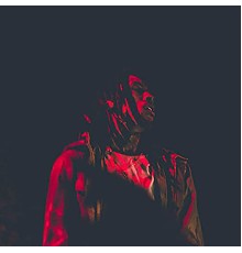 Chris Travis - Art of Destruction