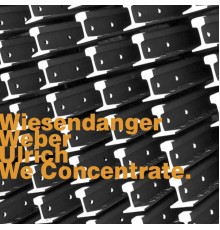 Chris Wiesendanger, Christian Weber & Dieter Ulrich - We Concentrate.