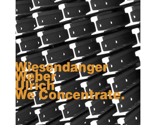 Chris Wiesendanger, Christian Weber & Dieter Ulrich - We Concentrate.