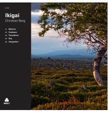 Christian Berg - Ikigai