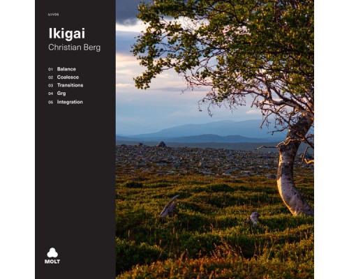 Christian Berg - Ikigai