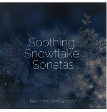 Christmas Time, Christmas Music Academy, Piano Christmas - Soothing Snowflake Sonatas