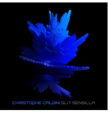 Christophe Calpini - Slit Sensilla