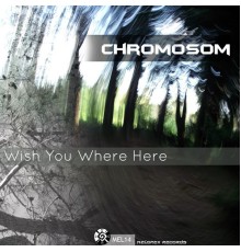 Chromosom - Wish You Where Here