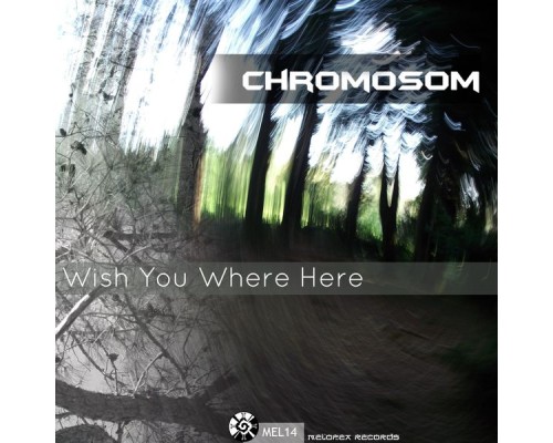 Chromosom - Wish You Where Here