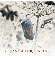 Chrystal Für - Instar