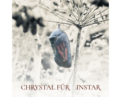 Chrystal Für - Instar