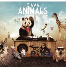 Ciava - Animals