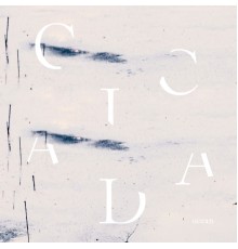 Cicada - Ocean