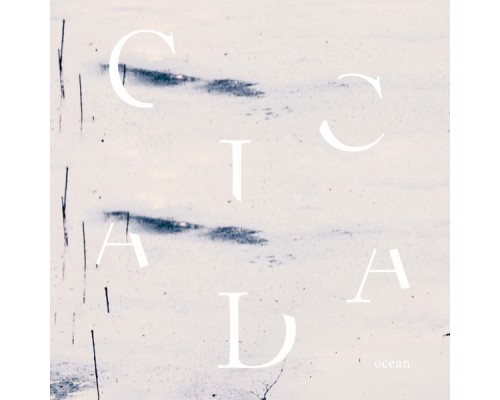 Cicada - Ocean