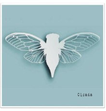 Cicada - Cicada