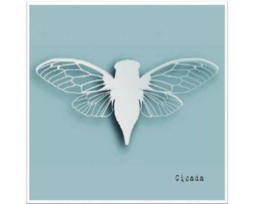 Cicada - Cicada