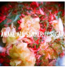 Circus Sands - Awake All Summer/Sugar