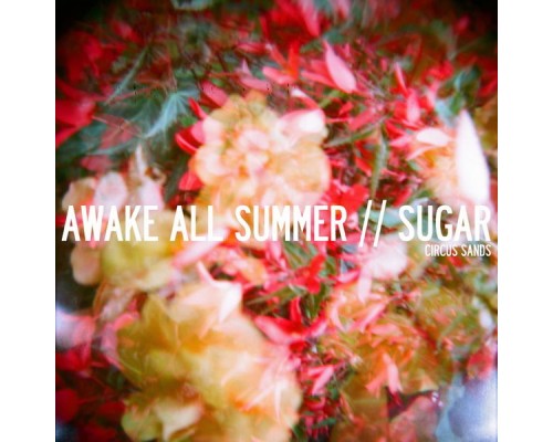 Circus Sands - Awake All Summer/Sugar