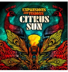 Citrus Sun - Expansions And Visions