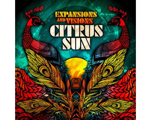 Citrus Sun - Expansions And Visions