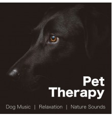 Classical Lullabies & Dog Music & Traditional Japanese Music Ensemble - Pet Therapy - Dog Music for a Deep Sense of Relaxation