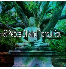 Classical Study Music - 80 Peace Of Mind Tranquil Soul
