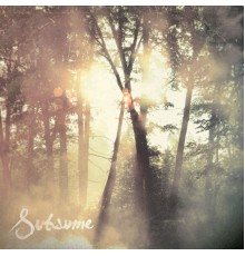 Cloudkicker - Subsume