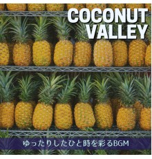 Coconut Valley - ゆったりしたひと時を彩るBGM