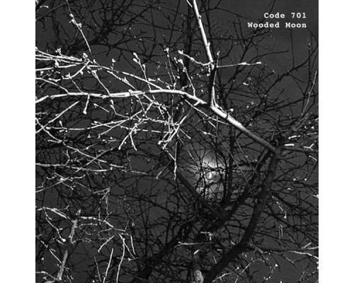 Code 701 - Wooded Moon