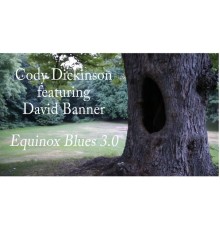 Cody Dickinson - Equinox Blues 3.0