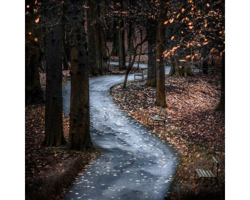 Coffe Lofi, Lofi Hip Hop and LO-FI Beats - Parts of Reality | Listen to Your Soul Coffe Lofi, Lofi Hip Hop and LO-FI Beats - Parts of Reality | Listen to Your Soul
