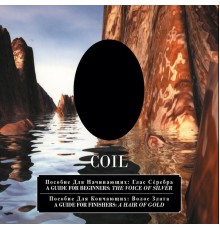 Coil - A Guide for Beginners: The Voice of Silver / a Guide for Finishers: a Hair of Gold