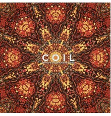 Coil - Stolen & Contaminated Songs