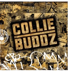 Collie Buddz - Collie Buddz