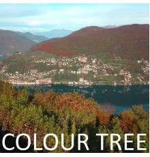 Colour Tree - Colour Tree