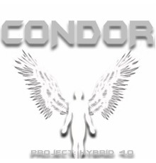 Condor - Project: Hybrid 4.0