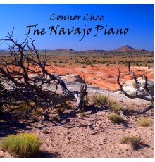 Connor Chee - The Navajo Piano