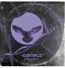 Control - From a Bird