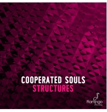 Cooperated Souls - Structures