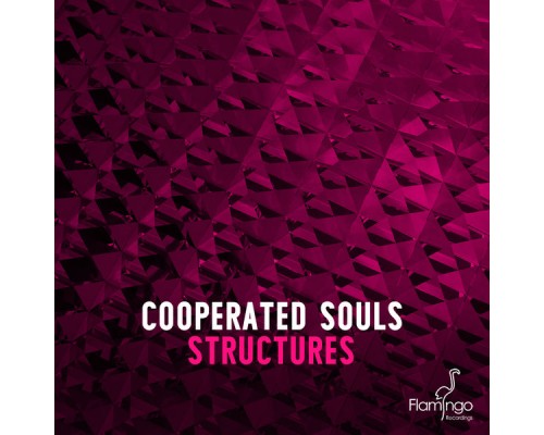 Cooperated Souls - Structures