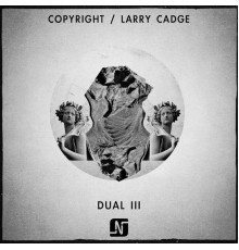 Copyright, Larry Cadge - Dual III