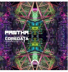 Coredata - Pantha